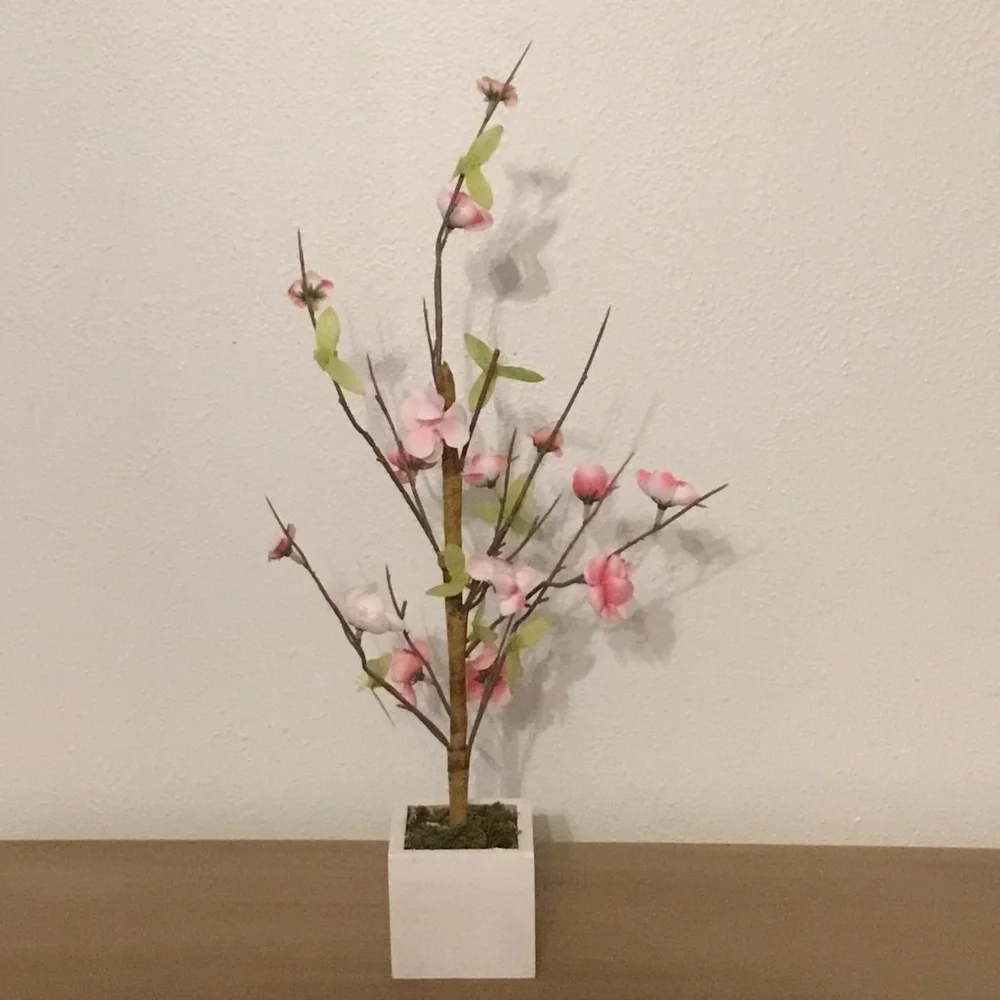 Cherry Blossom Tree